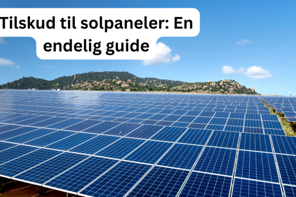 Tilskud til solcellepaneler i Frankrig: En endelig guide